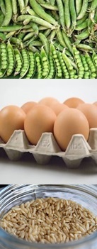 eggs, whole grains and peas are great protein sources