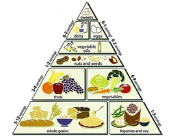 vegetarian food pyramid