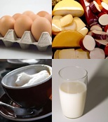 Eggs, Milk and Cheese are great sources of lacto/ovo vegetarian protein
