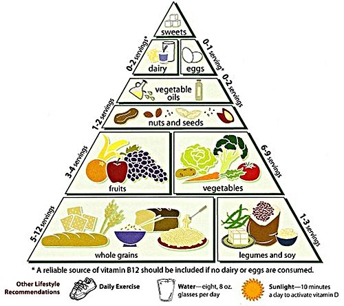 vegetarian food pyramid from Loma Linda University