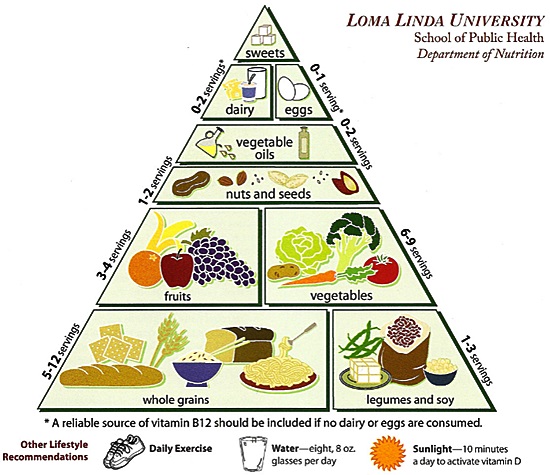 vegetarian food pyramid explained