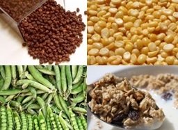 Vegetarian Protein Sources: Beans, Bulgar, Peas, Granola
