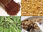 vegetarian protein sources